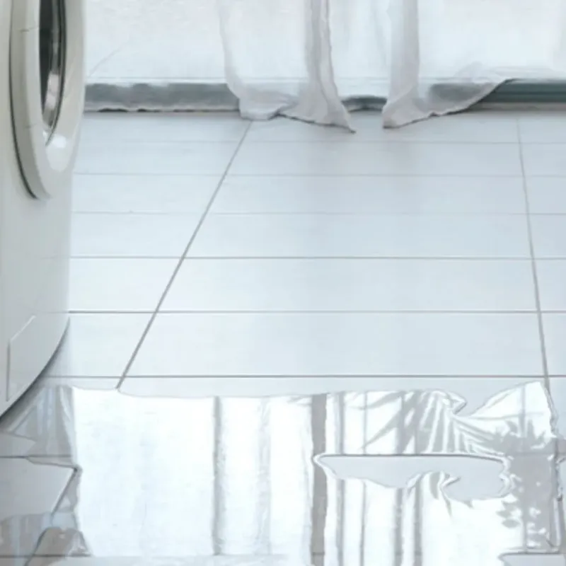 Appliance Leak Cleanup in Nice, CA