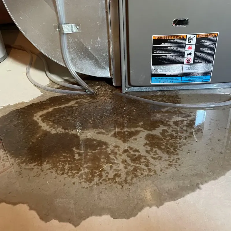 Pipe Burst and Leak Restoration in Nice, CA