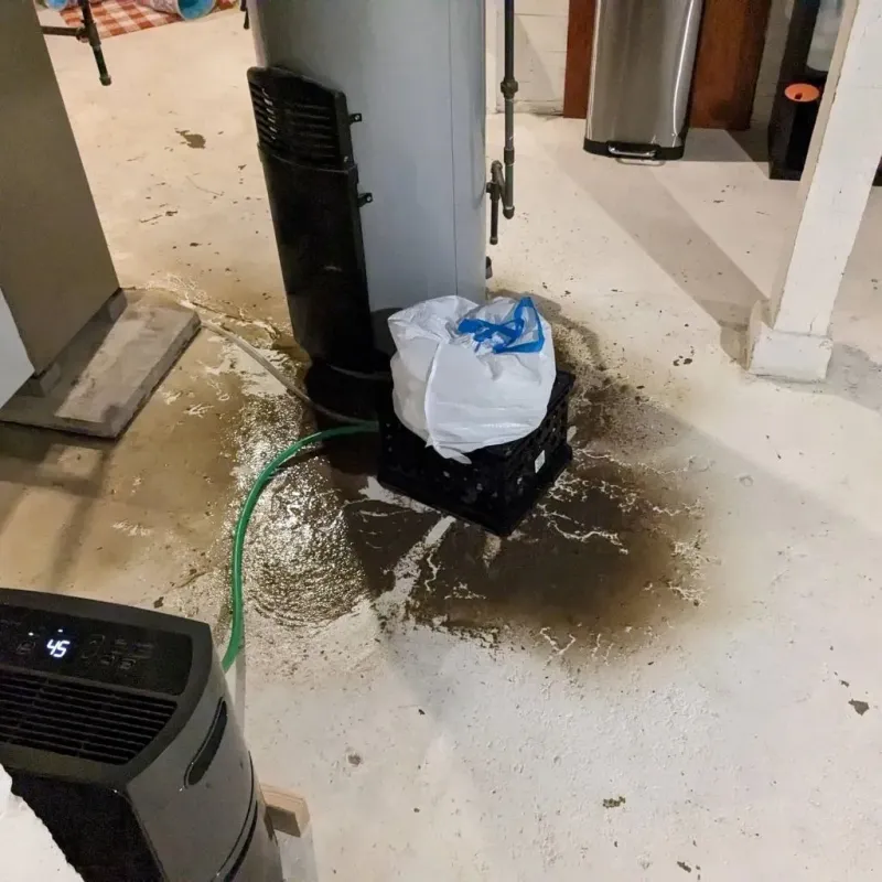 Sewage Backup Cleanup Service in Nice, CA